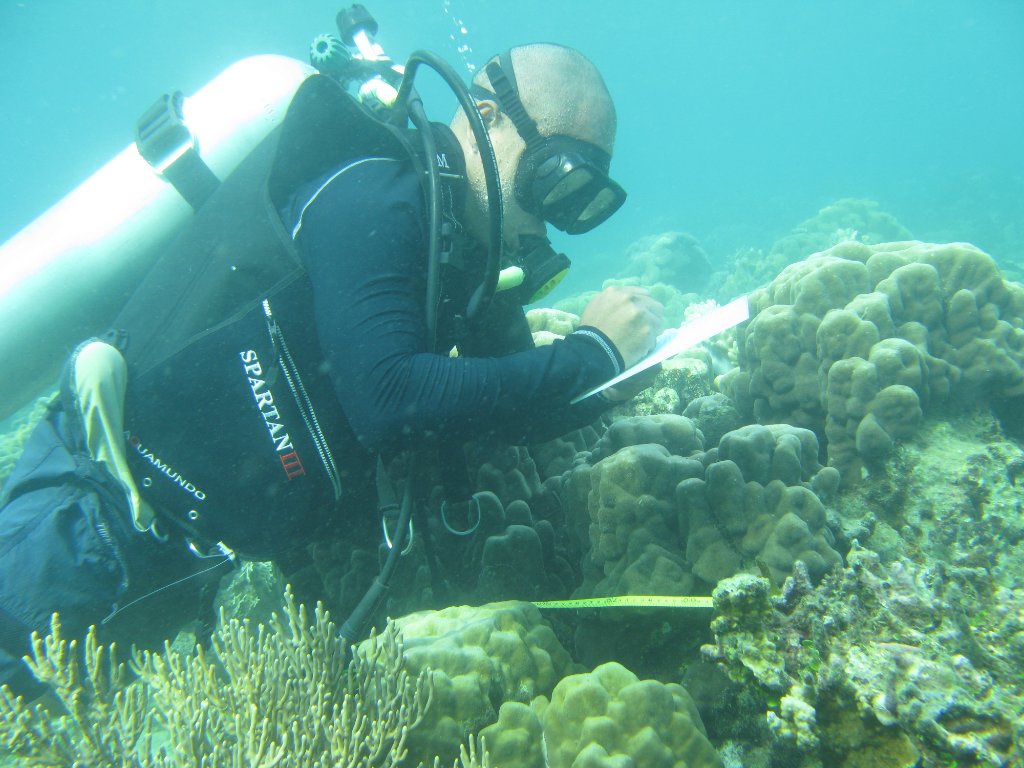 Coral Reef Monitoring
