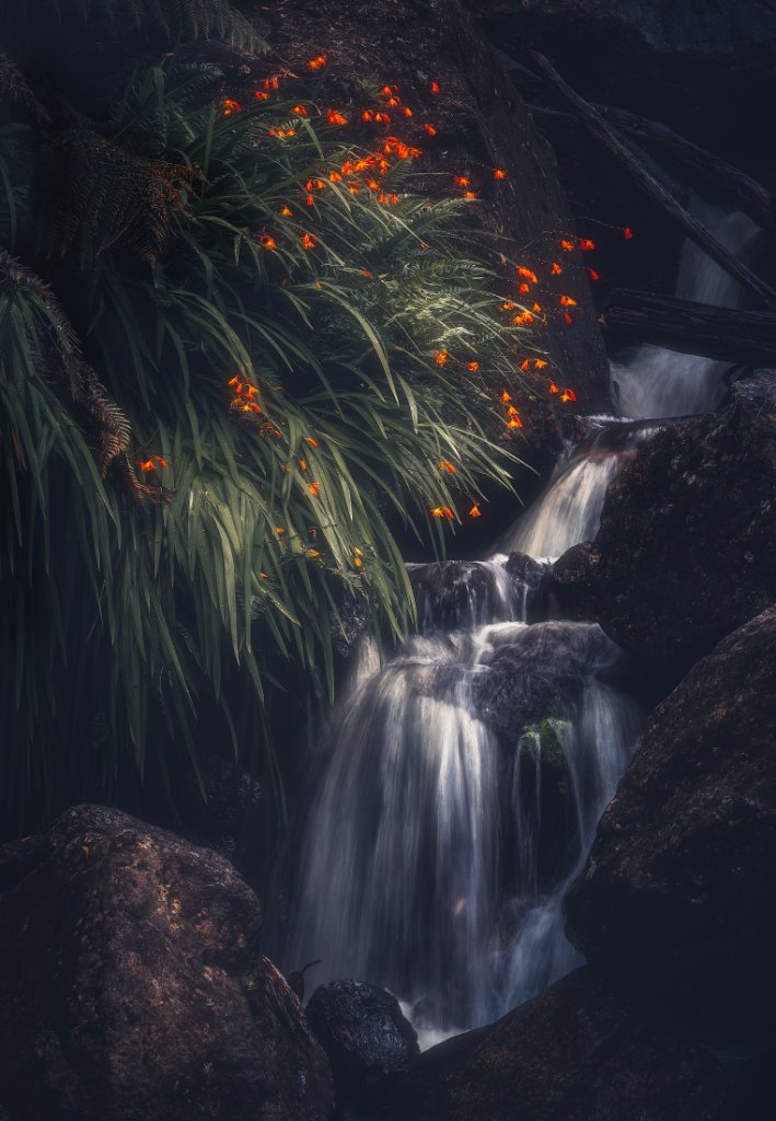 Forest & Waterfall Exploration