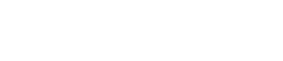 Sophist