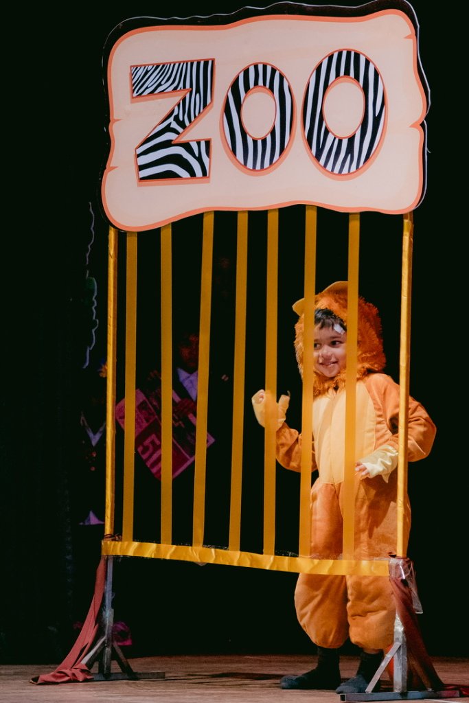 Madagascar Play - Lion Cage