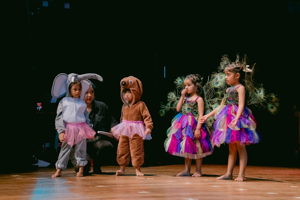 Madagascar Play - Animal Costumes