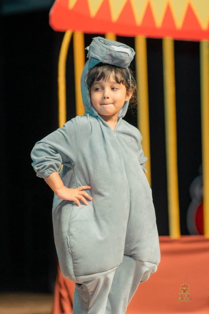 Madagascar Play - Animal Group