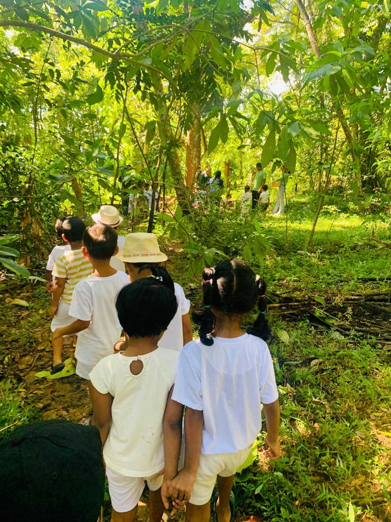 Nature exploration