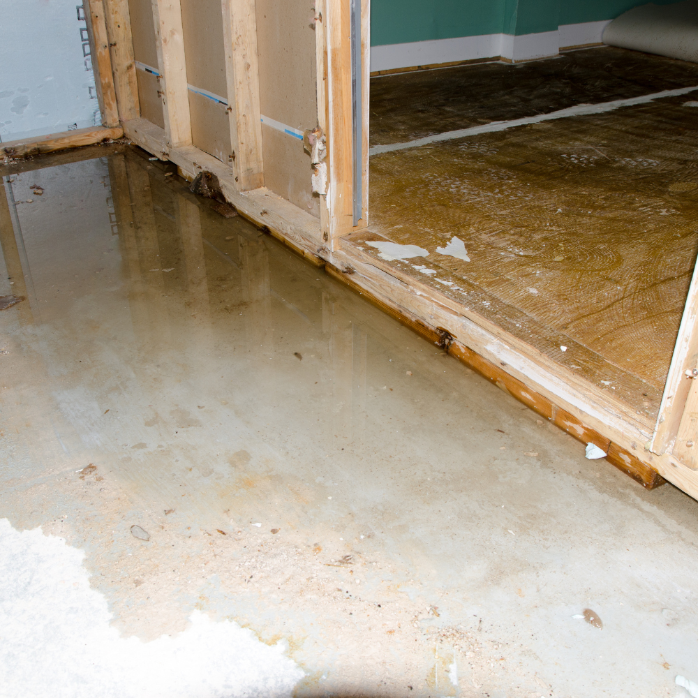 Water Restoration