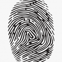 Live Scan Fingerprinting