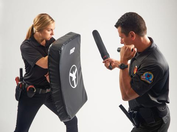 BSIS Security Continued Education