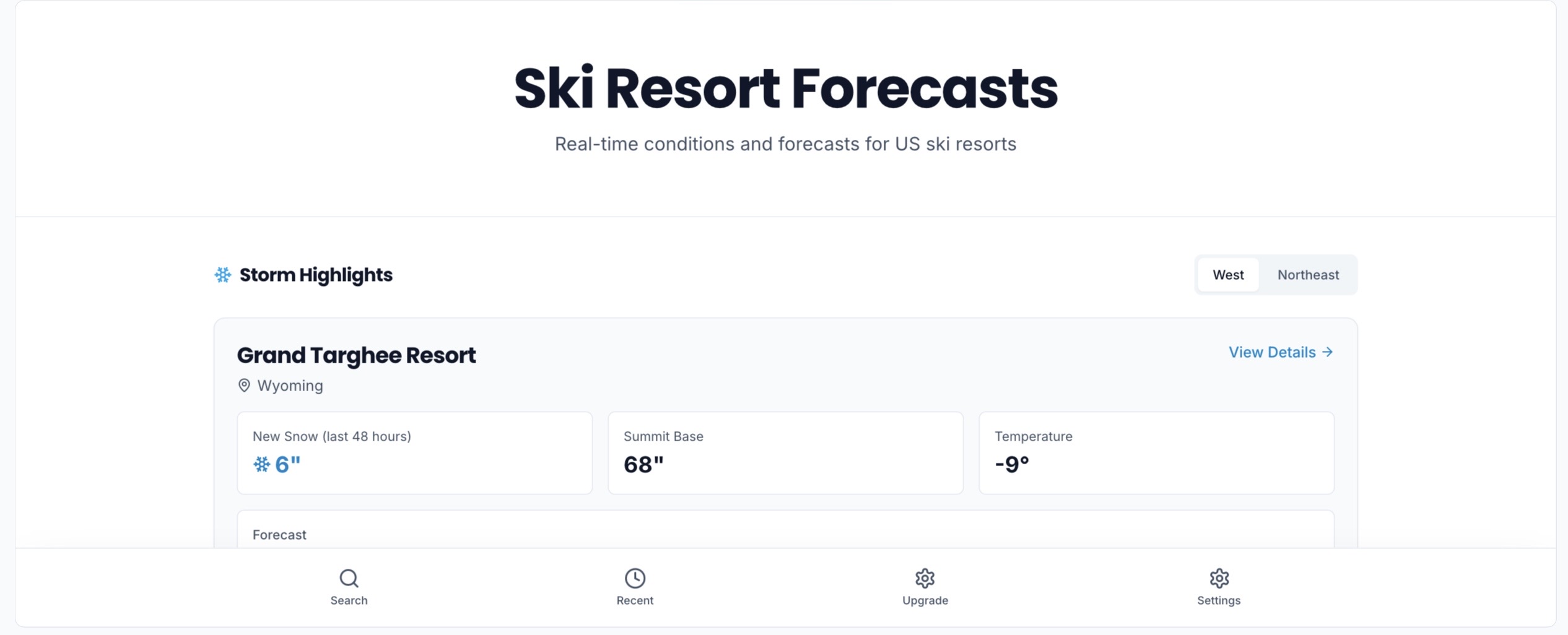 Snow Predict template preview