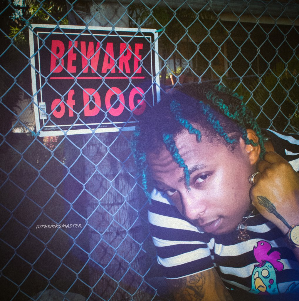Portrait - Beware of Dog