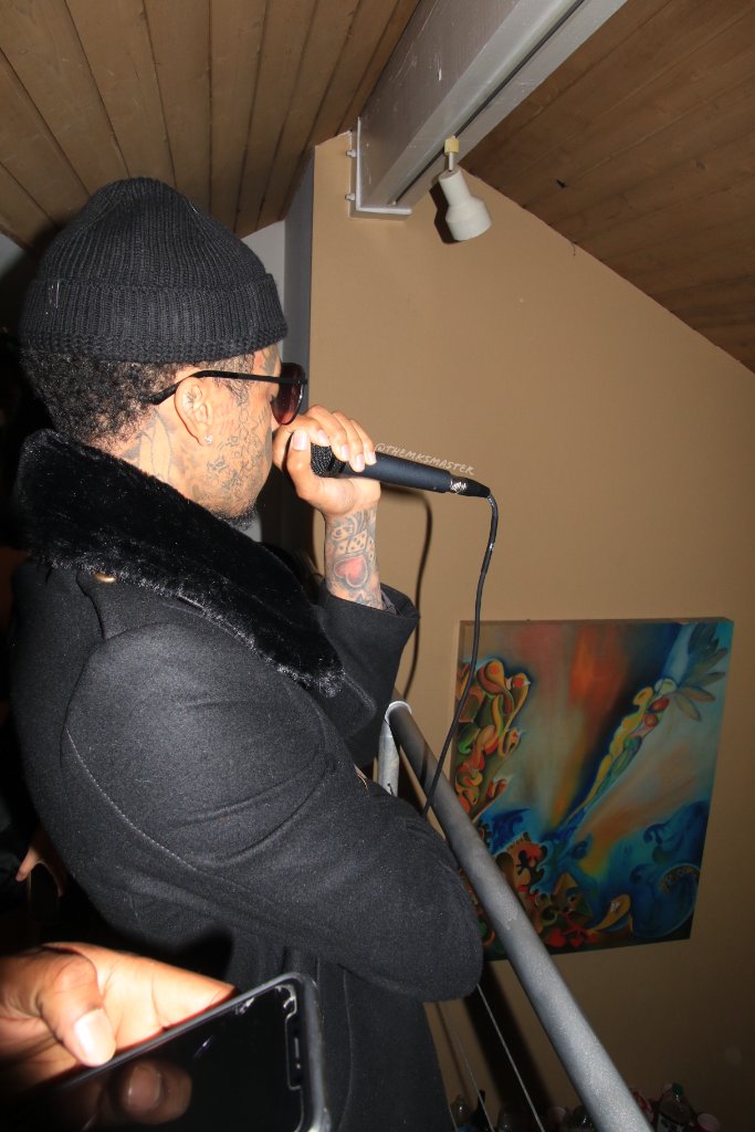Celebrity Performance - Side Profile Mic
