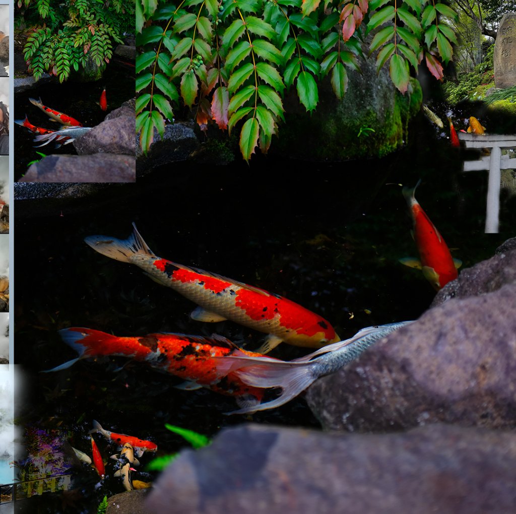 Koi Garden Japan