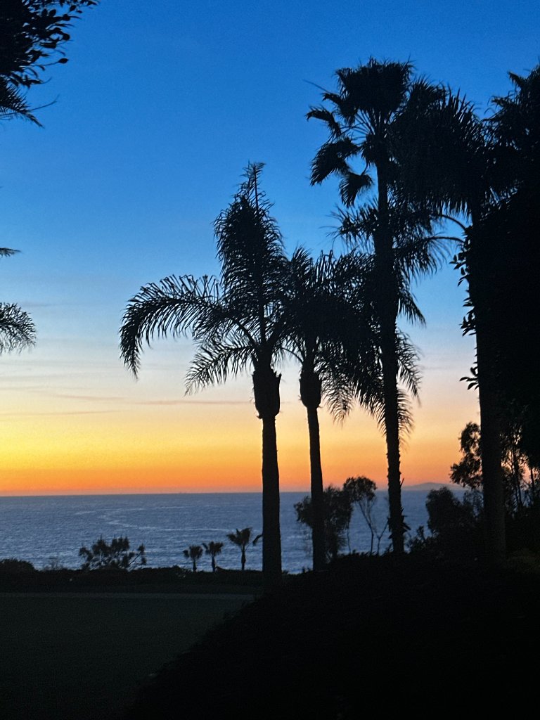 Pacific Sunset Palms