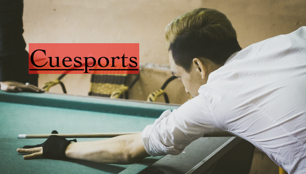 Cuesports Player at Table
