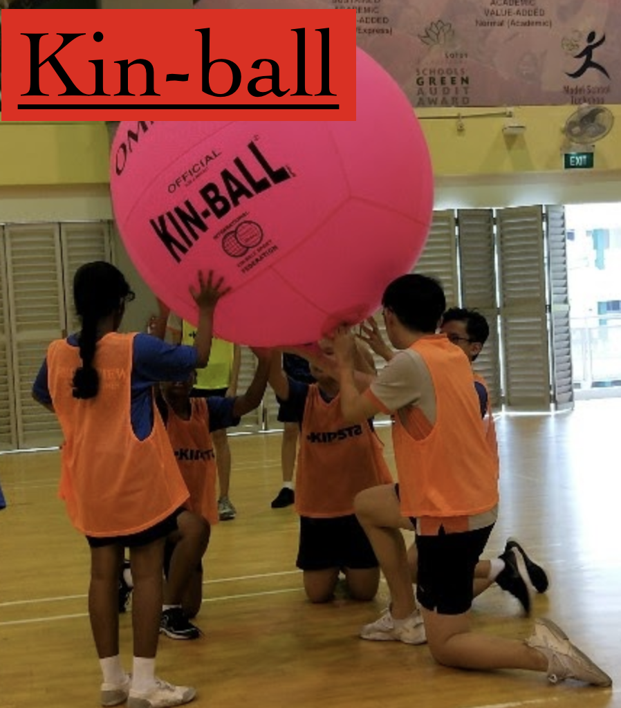 Kin-Ball game in action