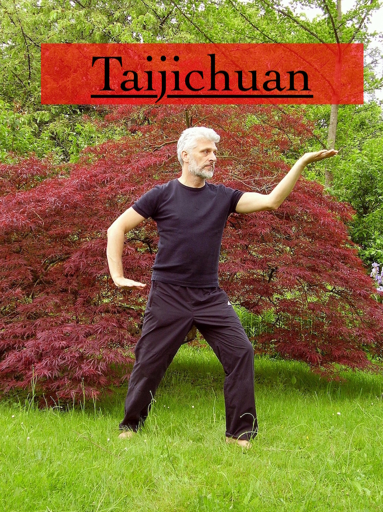 Taijiquan practice - ancient internal martial art