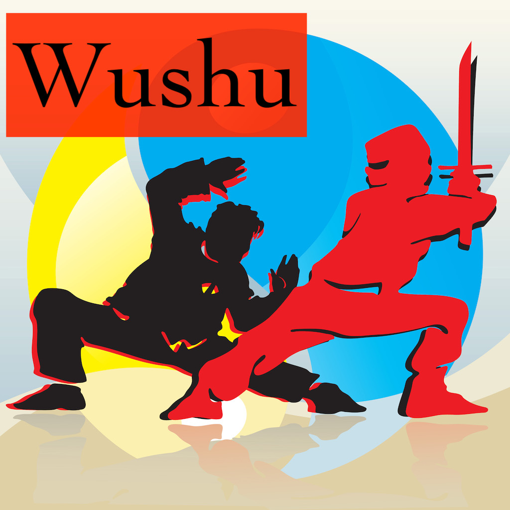 Wushu martial arts demonstration