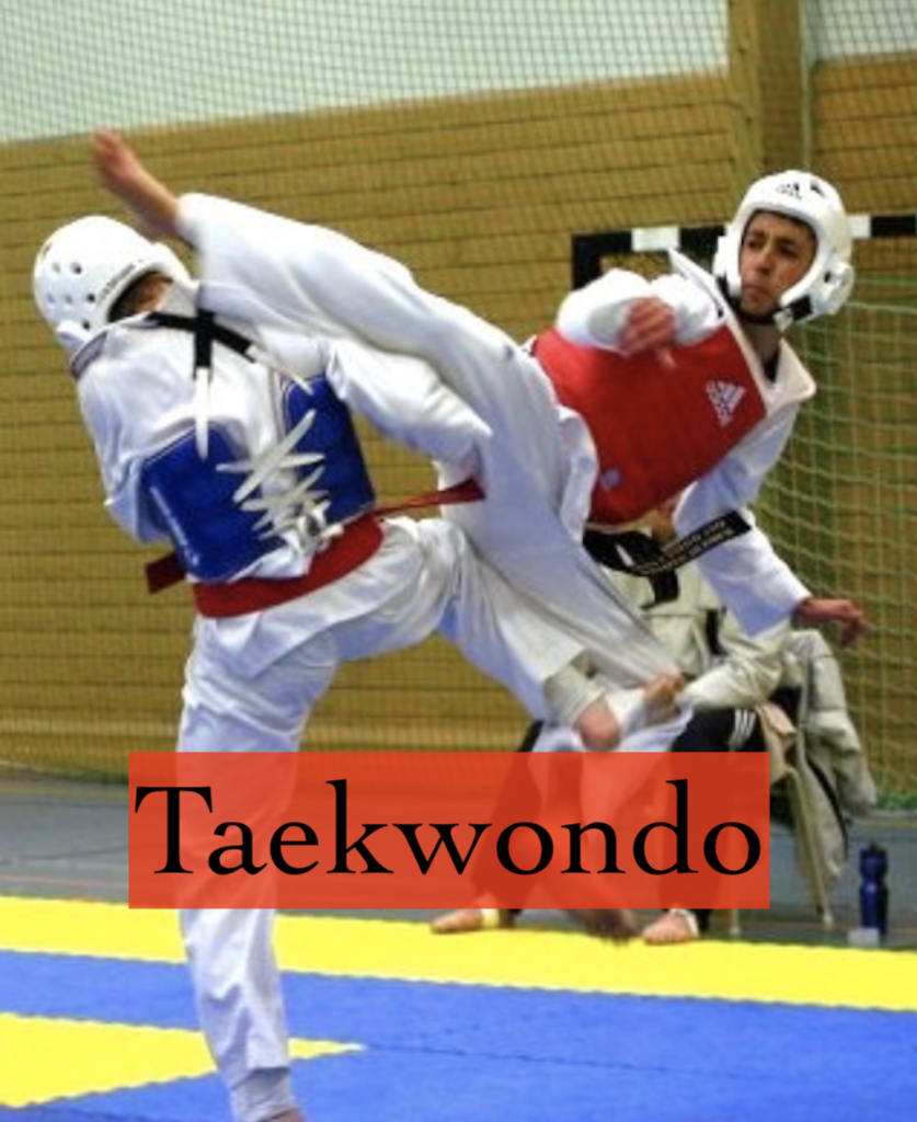 Taekwondo training in action