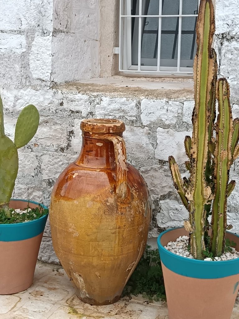 Vintage terracotta jar with succulents and cacti