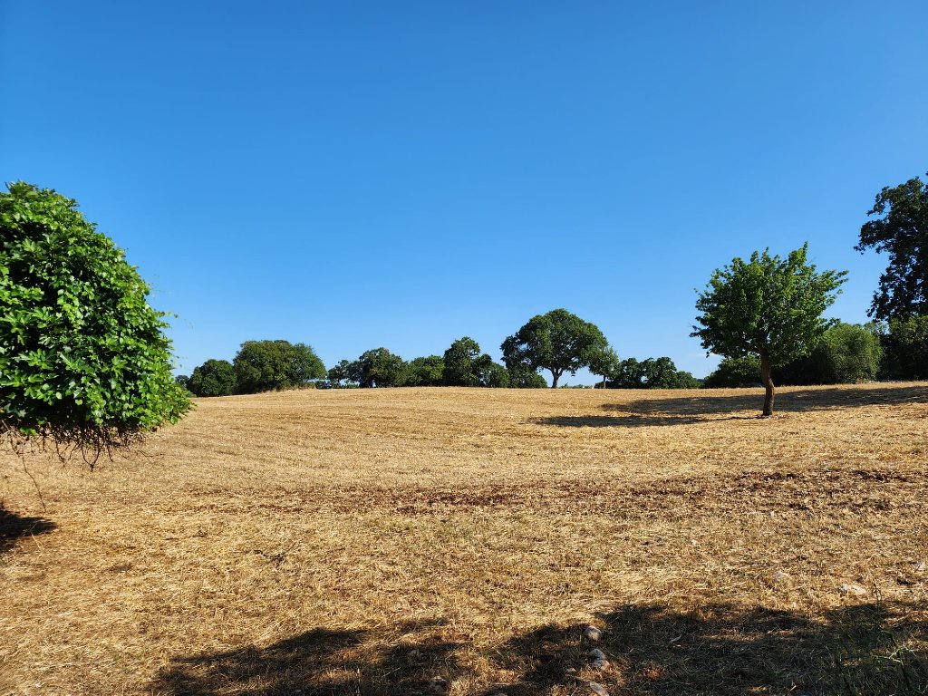 At the Heart of Valle d'Itria 6