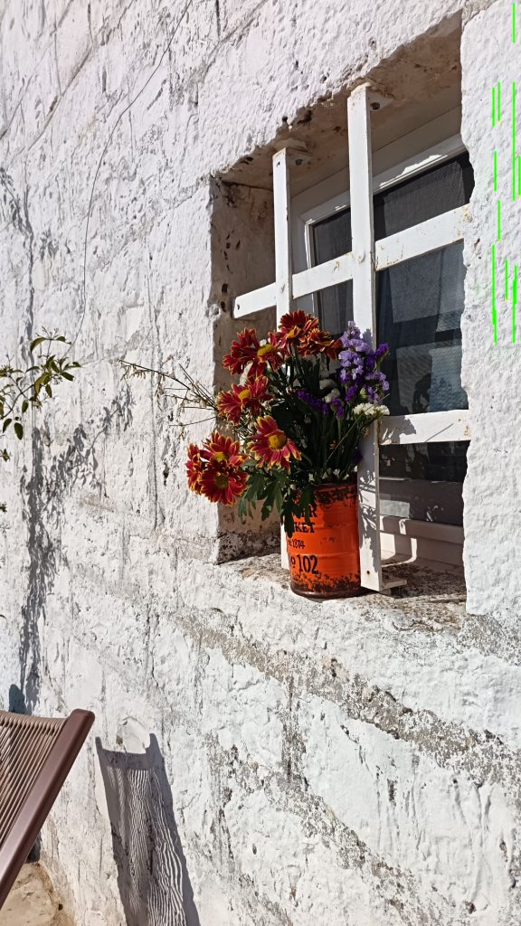 Rustic window with colorful flowers