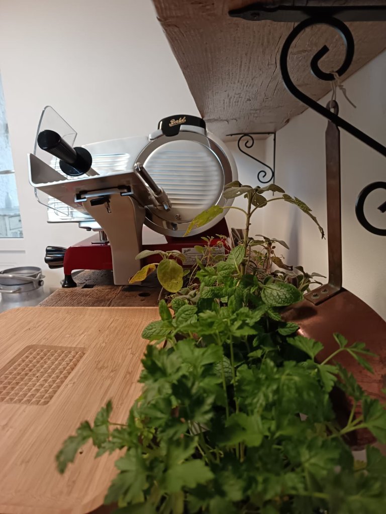 Kitchen counter with artisan meat slicer and herbs