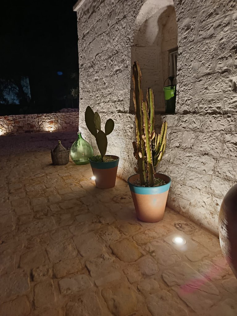 Evening courtyard with cacti and traditional pots