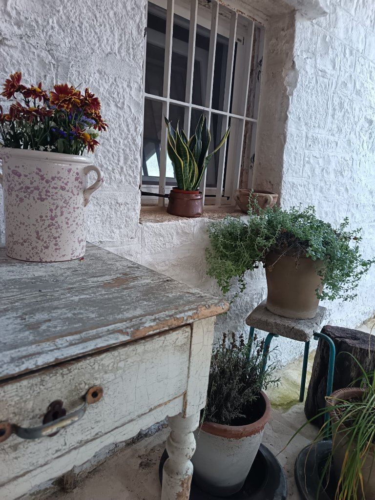 Rustic exterior with potted plants and herbs
