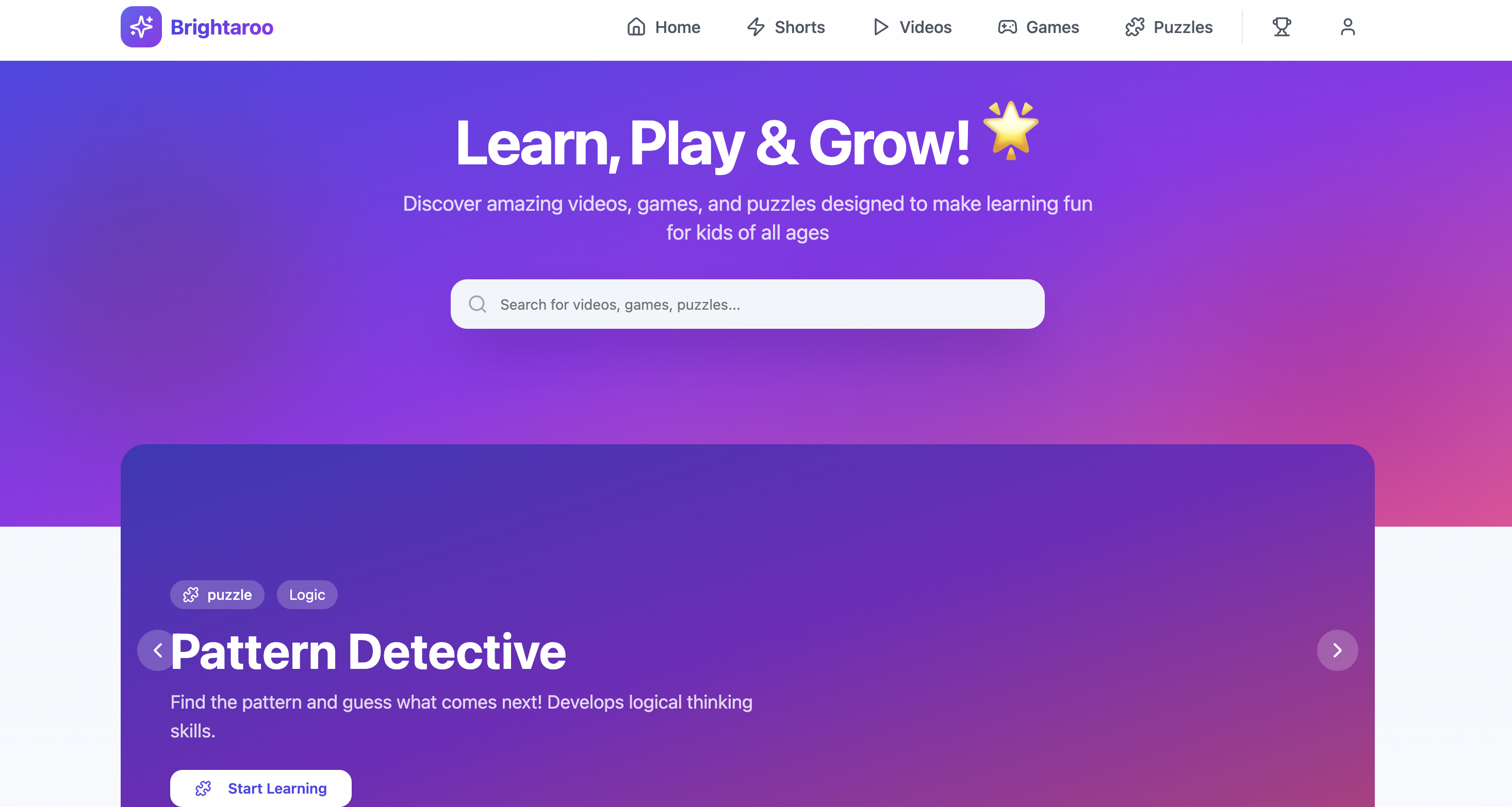 Brightaroo template preview