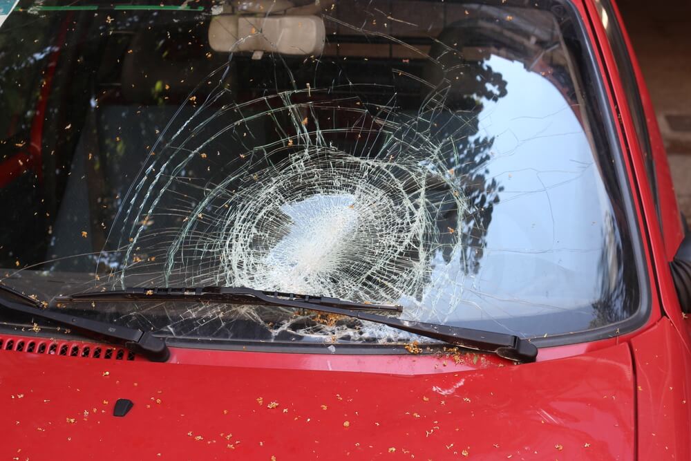 Auto Glass Garland certified technicians performing windshield replacement Dallas - Professional auto glass repair team