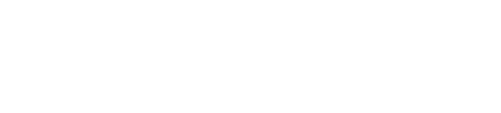 PMFlow