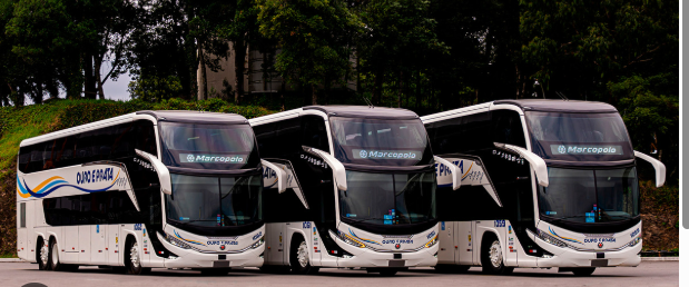 Comprar Passagem de Ônibus em São Paulo pelo WhatsApp | Atendimento Rápido