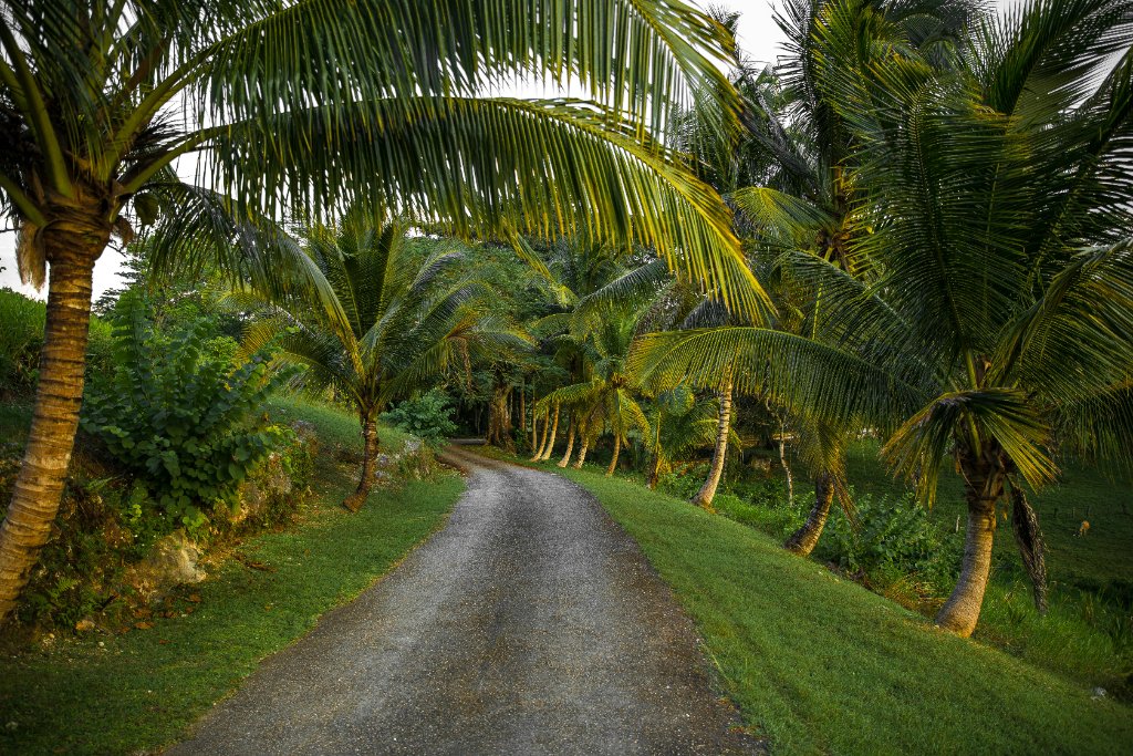 Jamaica excursion