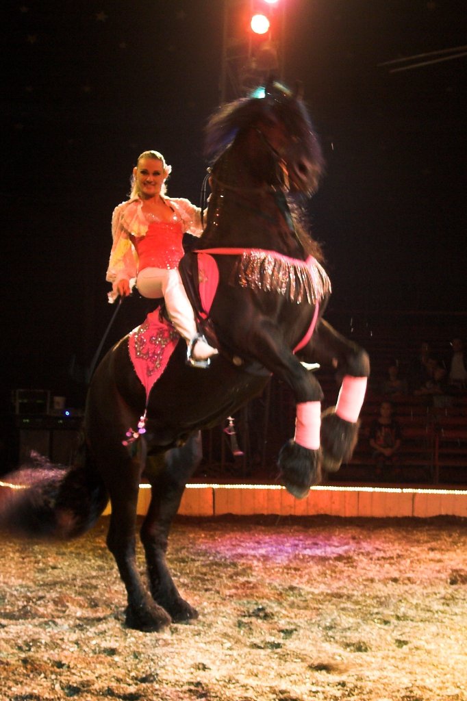 Zirkus Barelli Karawane mit Fahrzeugen