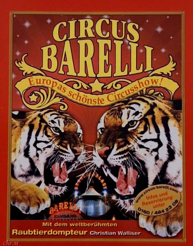 Circuskünstler präsentiert spektakuläre Show