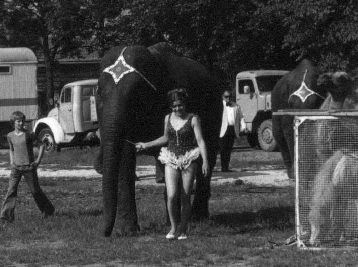 Publikum begeistert von der Circusvorstellung
