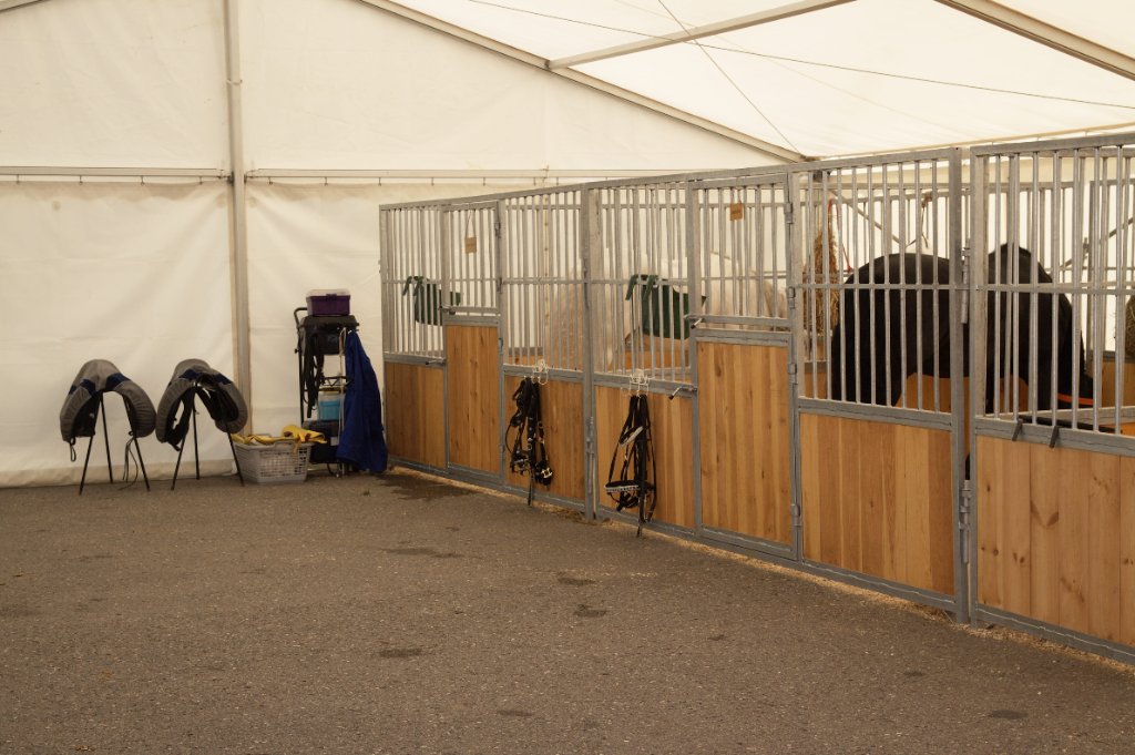 Zirkus Karawane unterwegs