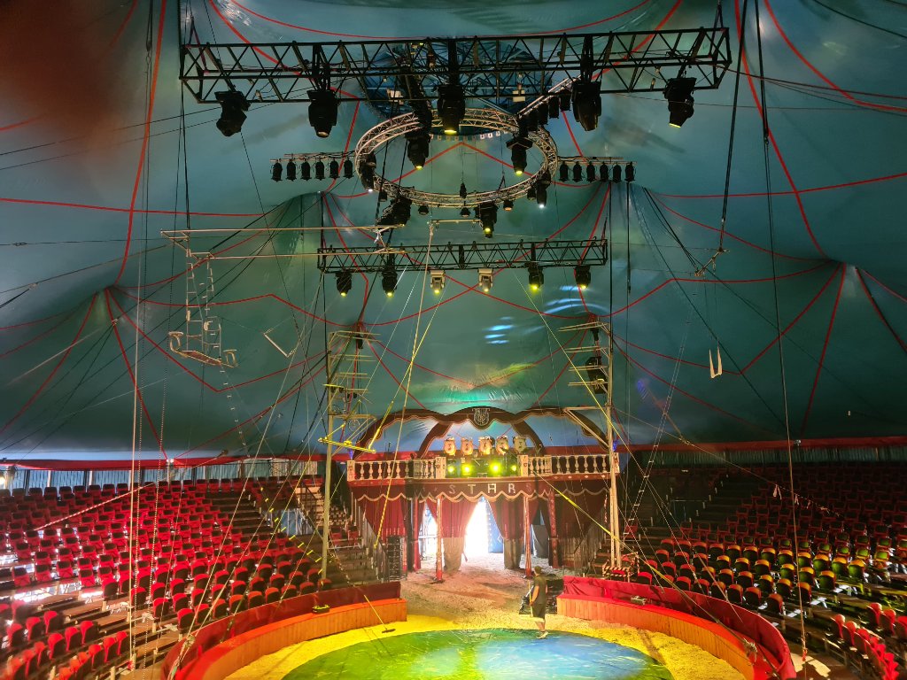 Zirkusfeeling in der Manege