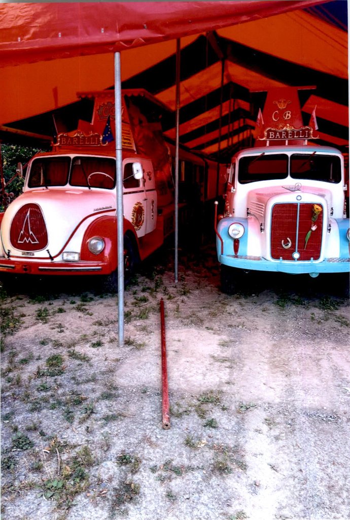 Museum Bild 40