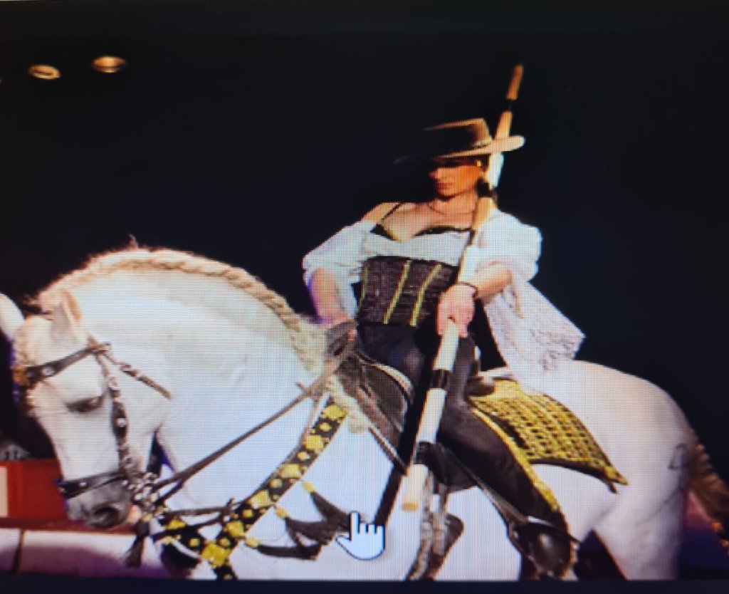 Luftakrobatik im Zeltpalast des Circus Barelli
