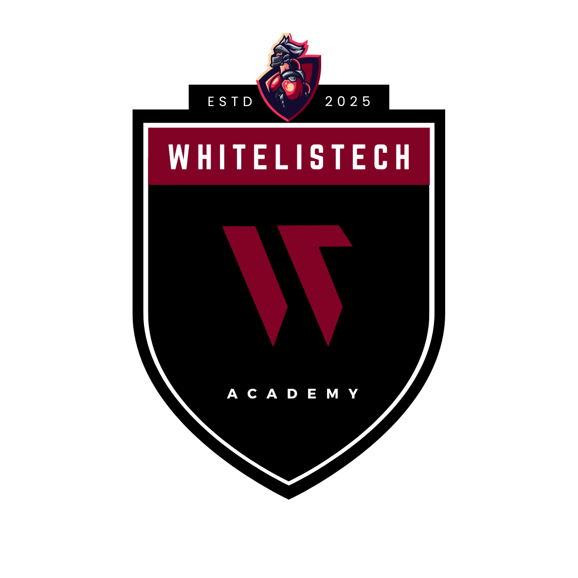 WT Academy template preview