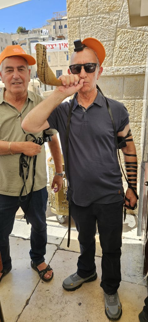 תמונה ממוזערת 13