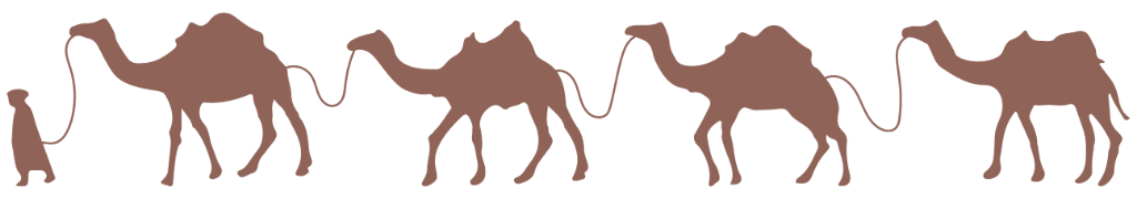 Camel