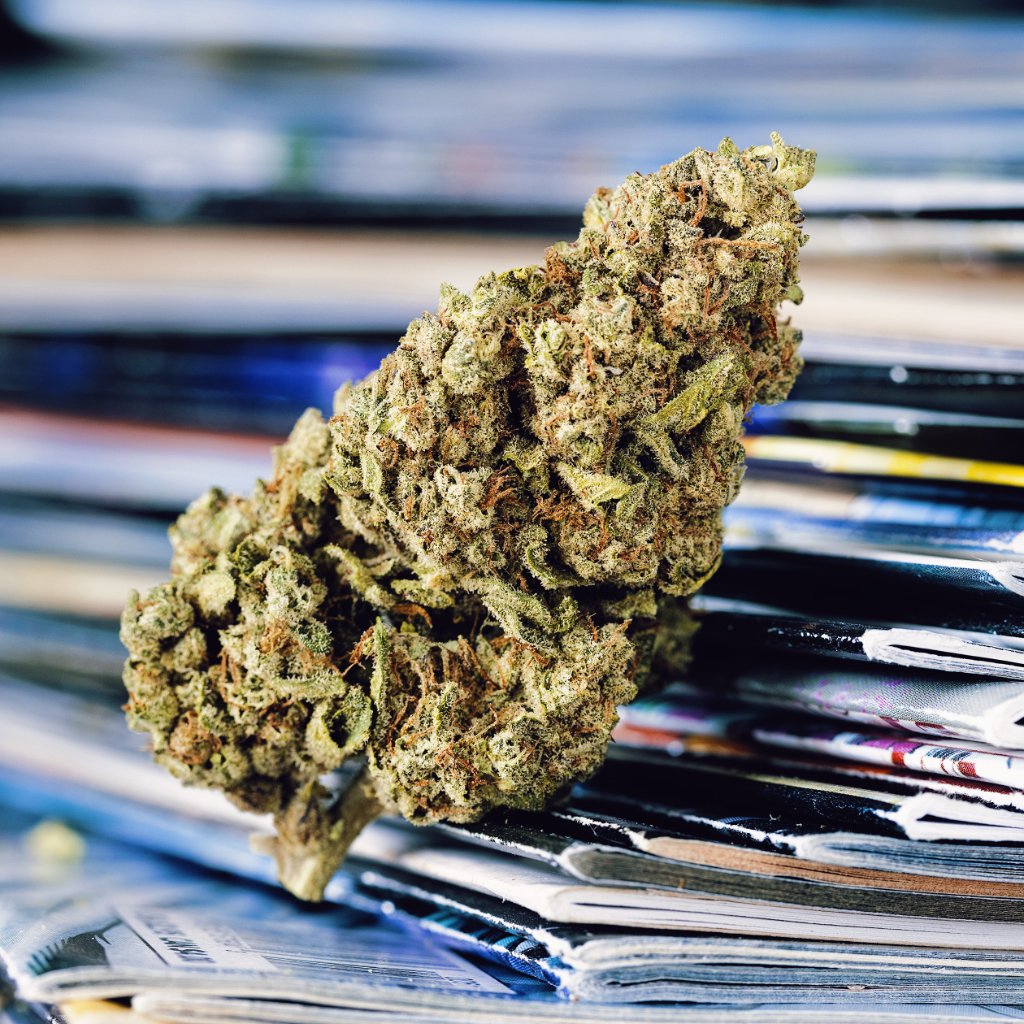 Browse Flower cannabis media assets