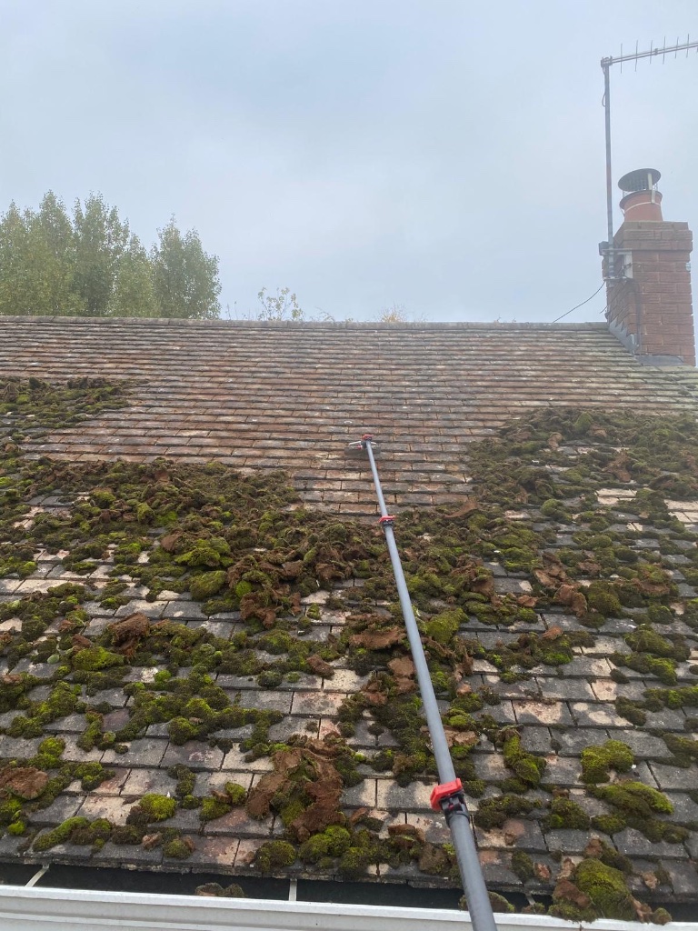 Roof Cleaning