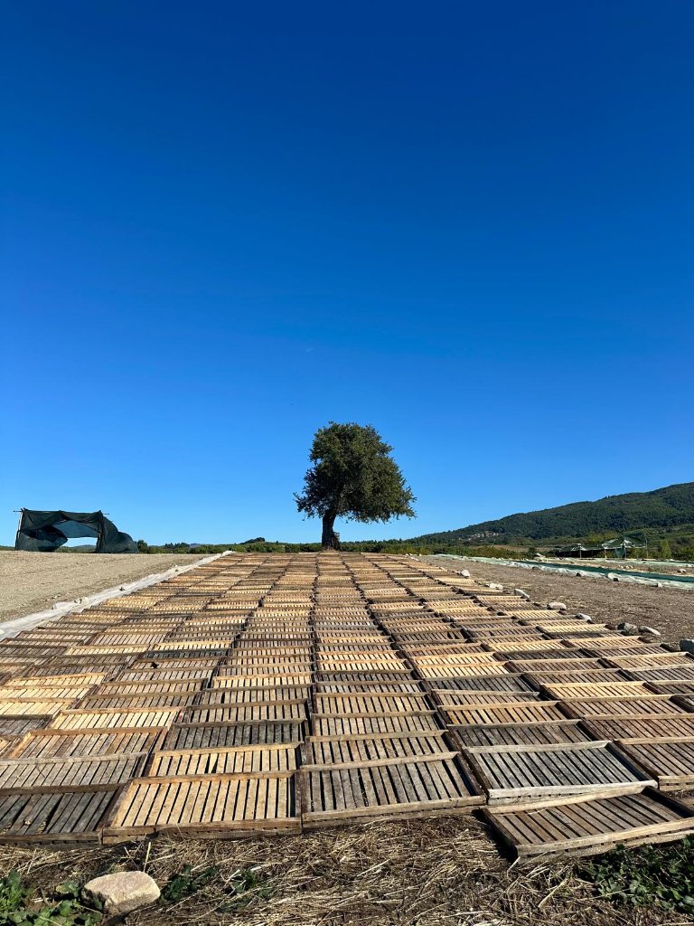 North Evia