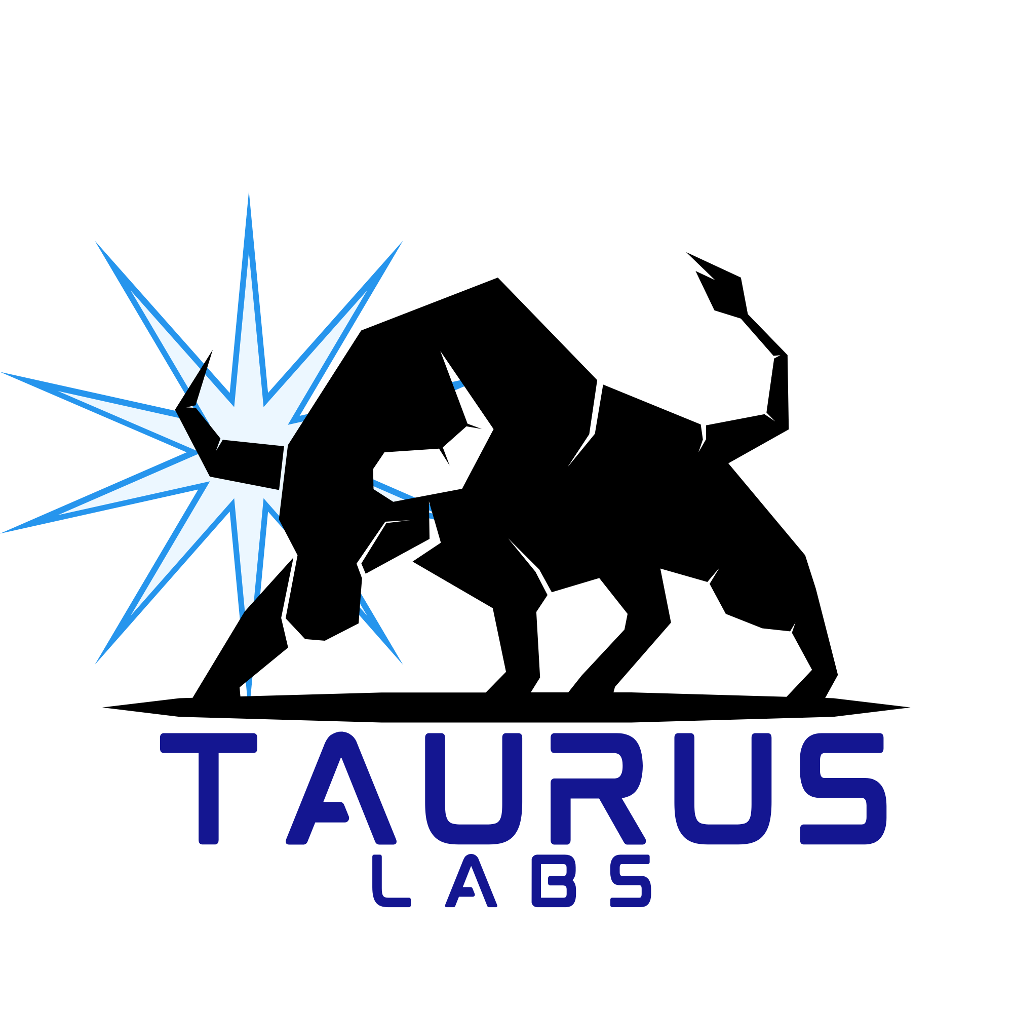 Taurus Labs Portfolio logo