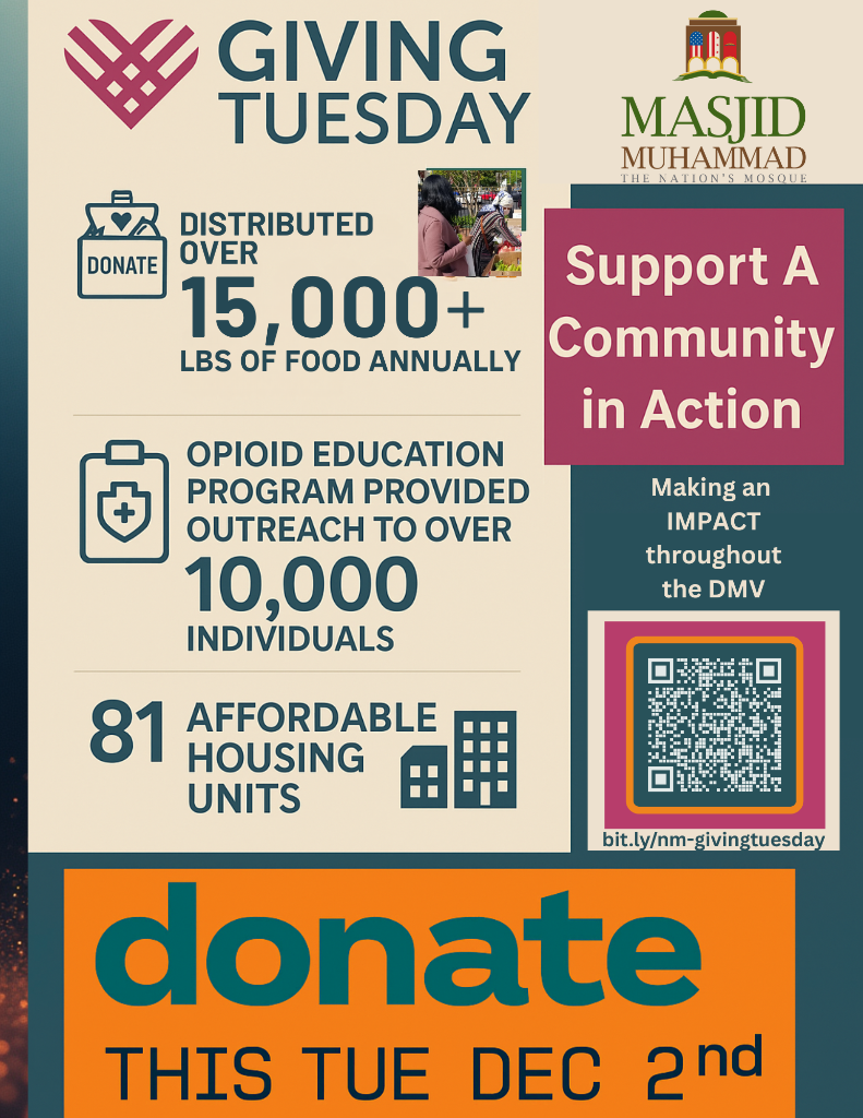 Giving Tuesday Impact