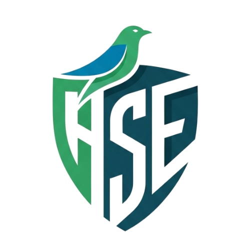HSE Guardian
