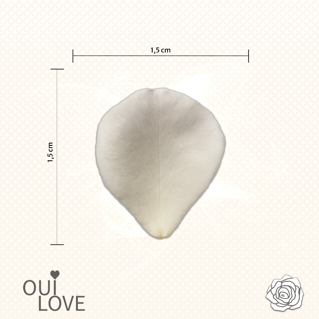 Box L'Essentielle - Kit Demande en Mariage DIY 3