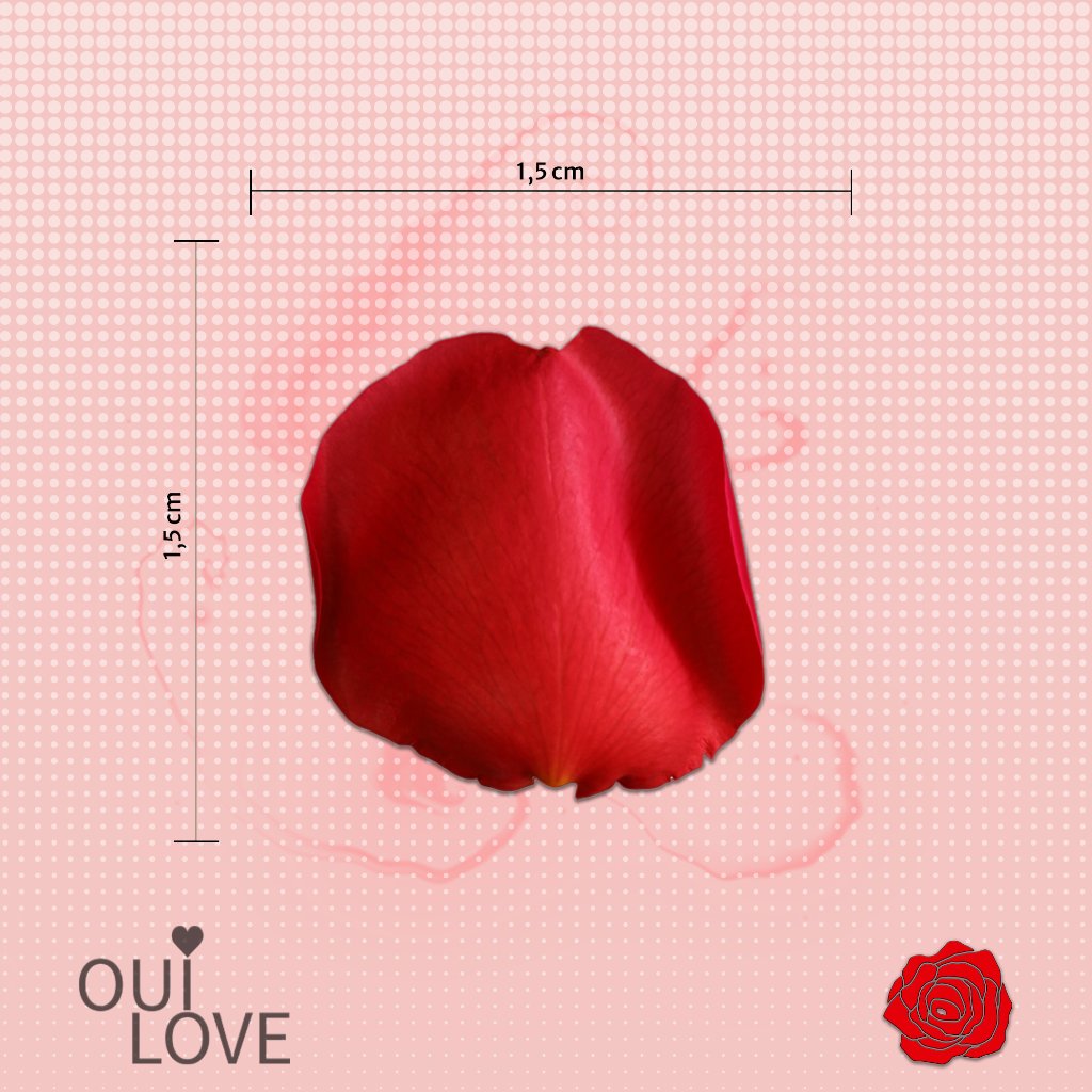 Box L'Essentielle - Kit Demande en Mariage DIY 4