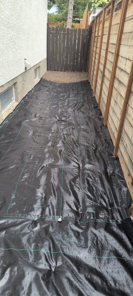 Blue Frog Services photo 5